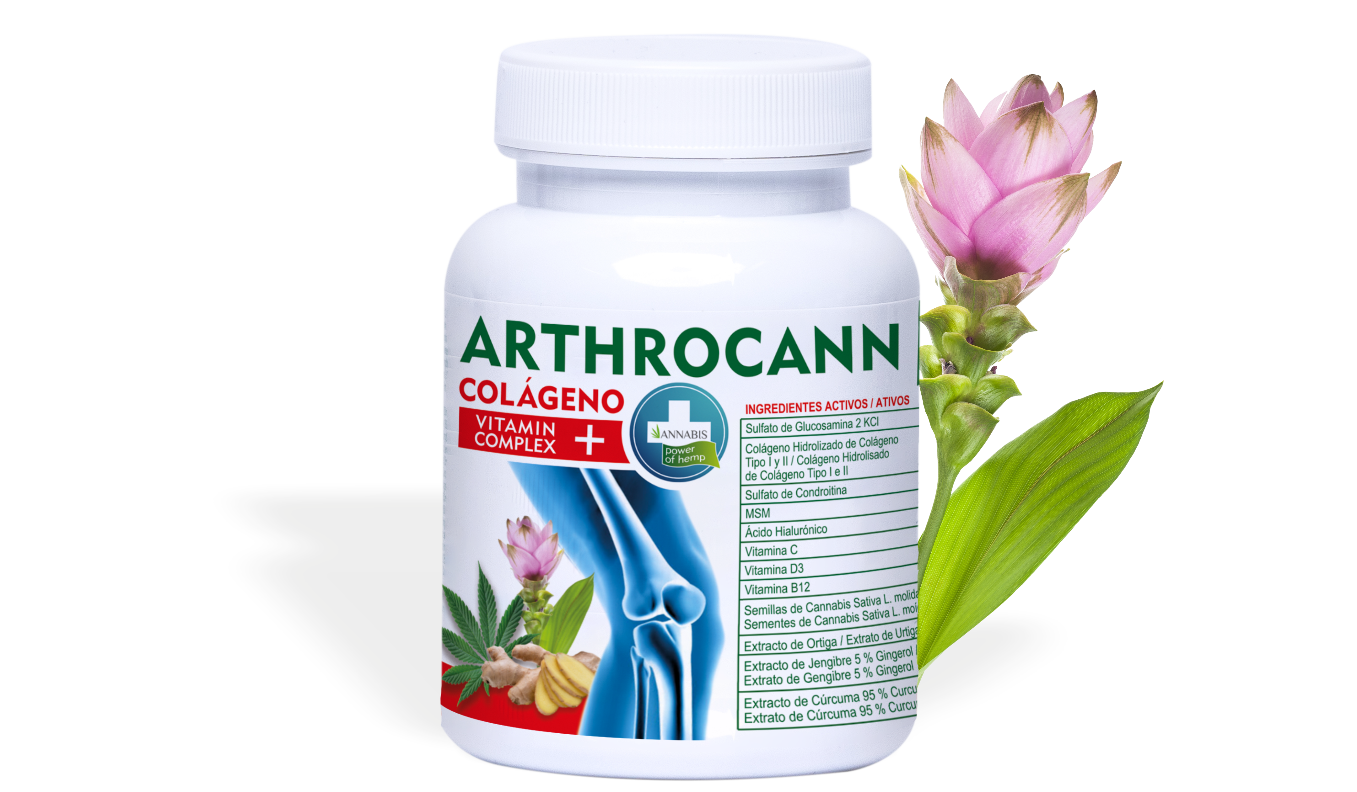 COLÁGENO TIPO II + CURCUMA + ÁCIDO HIALURÔNICO + VITAMINA D3 + MSM